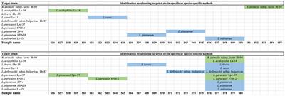 The power of DNA based methods in probiotic authentication